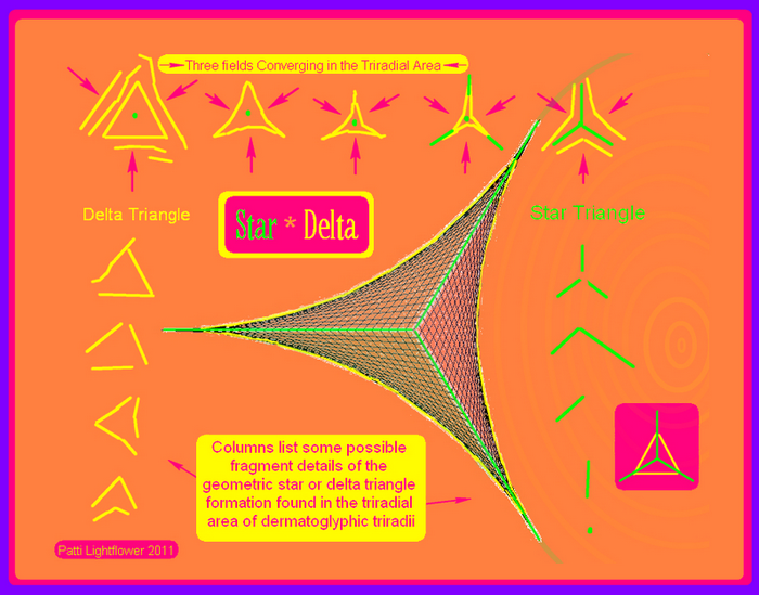 Star~Delta Triradii: Human Impulse Markers - Patti Lightflower
